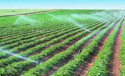 大鸡巴免费网站农田高 效节水灌溉